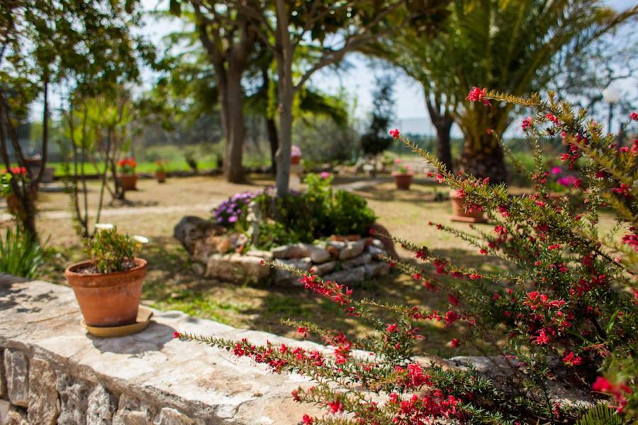 Villa Marida ジョーイア・デル・コッレ エクステリア 写真